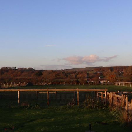 Mapperton Barn House B&B Nr Stourhead & Longleat Mere  Luaran gambar